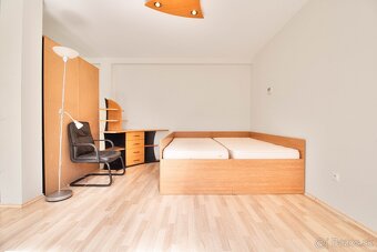 Veľký klimatizovaný apartmán s parkovaním - SLIAČ KÚPELE - 5