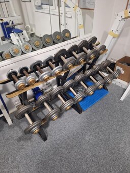 Domáce fitko DAFE, Franka Sport - 5
