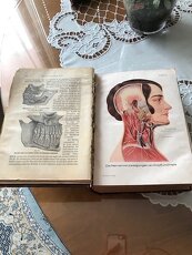 predám knihu Dr.MedJenny Springer roku 1930 - 5