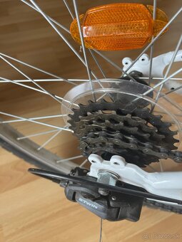 Detsky bike 20” - 5