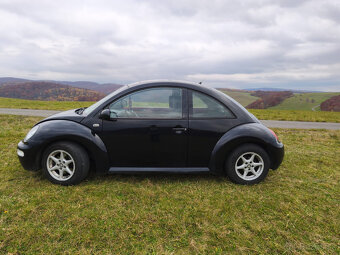 New Beetle - 5