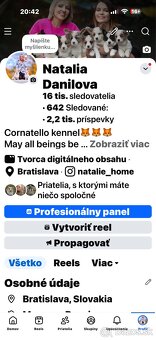 Welsh corgi cardigan. - 5