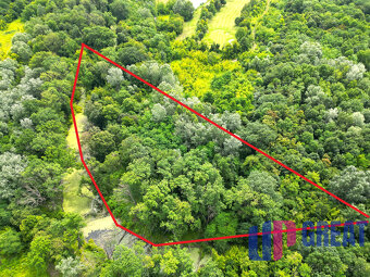 Pozemok 6029 m² – rekreačné využitie pri Bernolákove - 5
