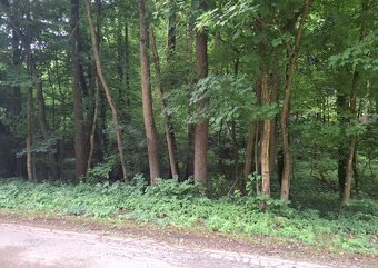 Predám pozemok v Antonstáli - 5