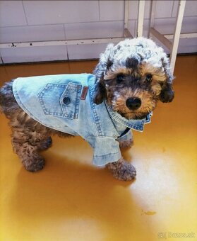 Košeľový kabátik pre psa - 5