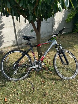 Predam bicykle (damsky, juniorsky) - 5