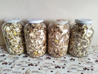 Predám sušené hriby - 5