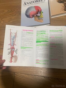 Anatómia Čihák 1,2,3 - 5