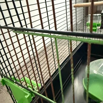 klietka pre nadulky - 5