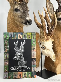 Predám knihu Great Bucks Club 200 - 5