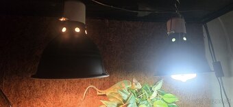 Chameleony s vybavením - 5