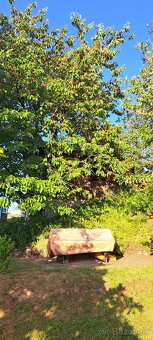 Chata so záhradou na prenájom - 5