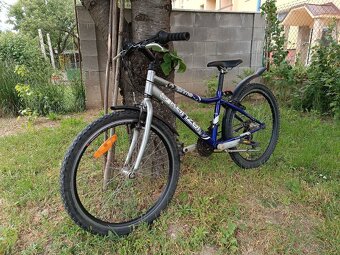 Bike Kenzel - 5