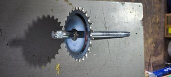 Diely babetta 207 - 5