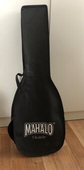 Koncertné ukulele - 5
