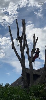 Orazávanie a výrub stromov - 5