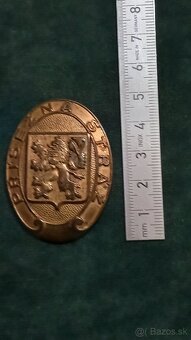 Odznak přísežná stráž - 5