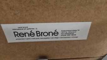 Predam obraz let balonom - 5