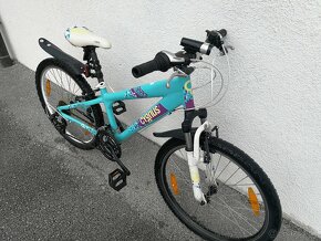 Detský horský bicykel CYGNUS - DIRT BERRY 24" - 5