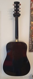 Ibanez PF60 Performance - 5
