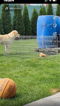 Predám krásnu a plne vybavenú klietku - v dobrom stave 🐰🐹 - 5