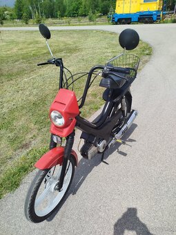 Manet Korado. - 5
