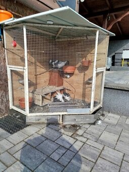 Voliera - klietka - 5