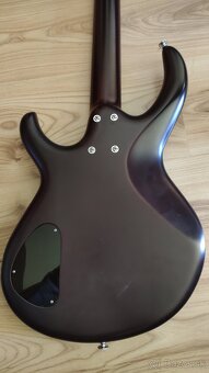 Basgitarista Meg - 5