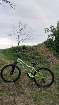 MTB 24 CTM Berry 2.0 - 5