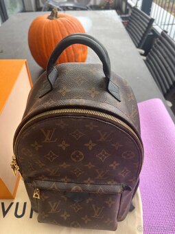 Louis Vuitton Palm Springs PM Backpack - 5