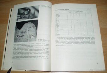 Medovice a včely - 5