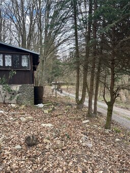 Drevená chata, Kučišdorfská dolina, Pezinok - 5