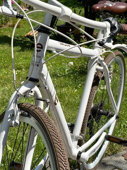 predam horsky bicykel - 5