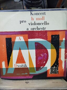 LP platne - 5