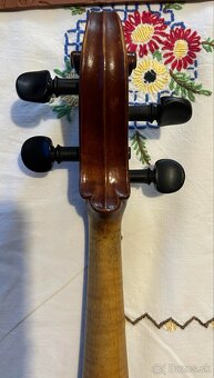 Viola - 5