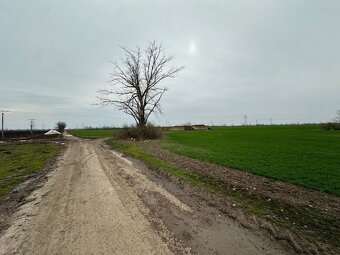 Investičný pozemok 28 249 m² neďaleko Trnavy na predaj - 5