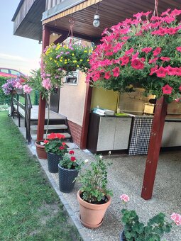 Ponúkam na predaj Záhradu s chatkou - 5