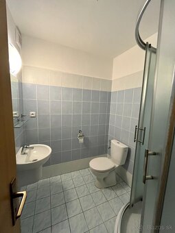 1 izbový byt na prenájom - 5
