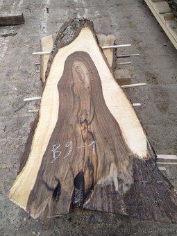 Predám vysušené orechové fošne - 8 cm hrubé - 5