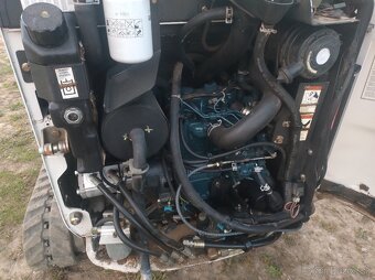 Bobcat - 5