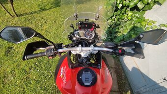 Triumph Tiger XC 800 - 5