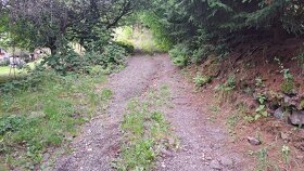 NOVÁ CENA Na predaj je záhrada o výmere 3398 m2 v Kremnici - 5