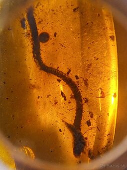 Jantár s mnohonôžkou - 5