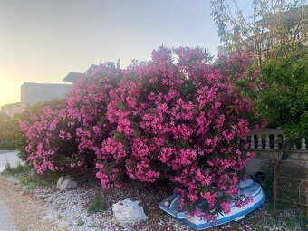 DOPREDAJ APARTMÁNOV V CHORVÁTSKU - 5