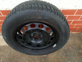 Pneutiky na diskoch 5x100 - 5