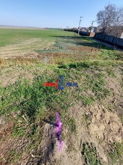 ZÁHRADA v Chorvátskom Grobe ulica Hoštáky. - 5