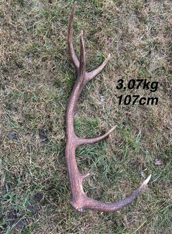 Parohy,parožie,zhody - 5