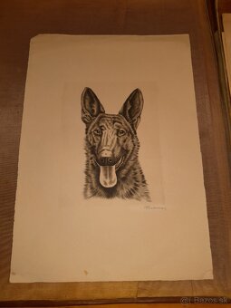 Grafika - pes - 5