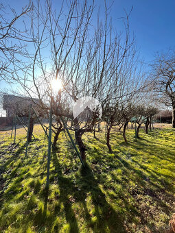 Reality KOMPLEX s.r.o., Vám ponúka 8 árovú záhradu v Novej S - 5