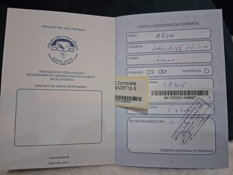 Darujem do dobrých rúk je velmi hravi a prítulný - 5